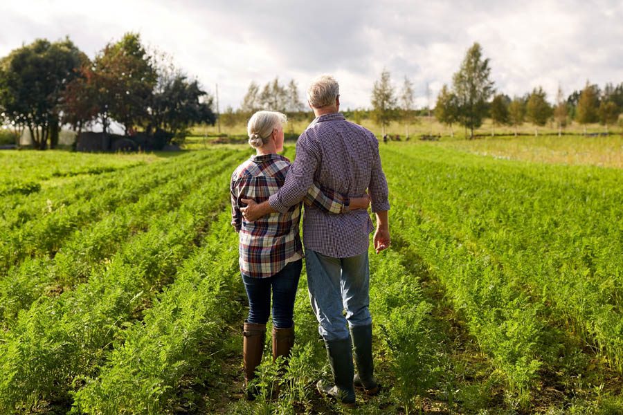 Specialized Business Insurance - Older Couple Looking Over the Welfare of the Farm