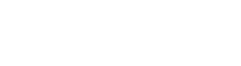 Turner Houser Insurance Group - Logo 800 White